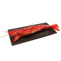 ❆ Giant whole raw wild shrimp Carabinero U10 box 800g