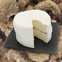 Creamy Burgundy cheese with summer truffle 