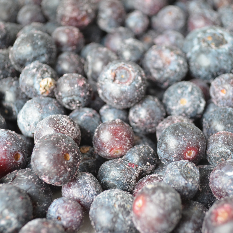 ❆ Blueberry french origin IQF bag 1kg