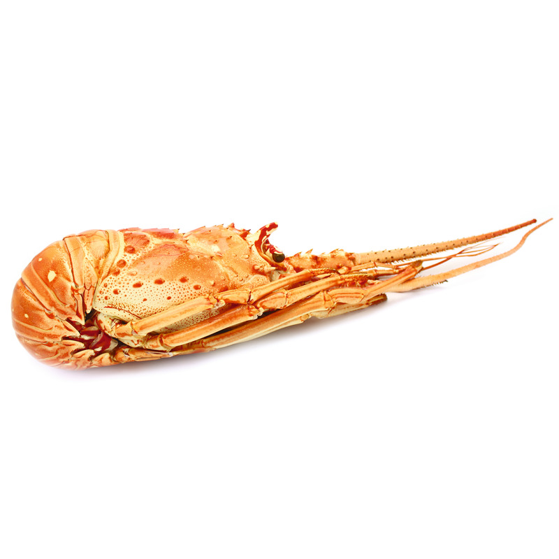 ❆ Langouste cuite origine Caraïbes calibre 800-1200g