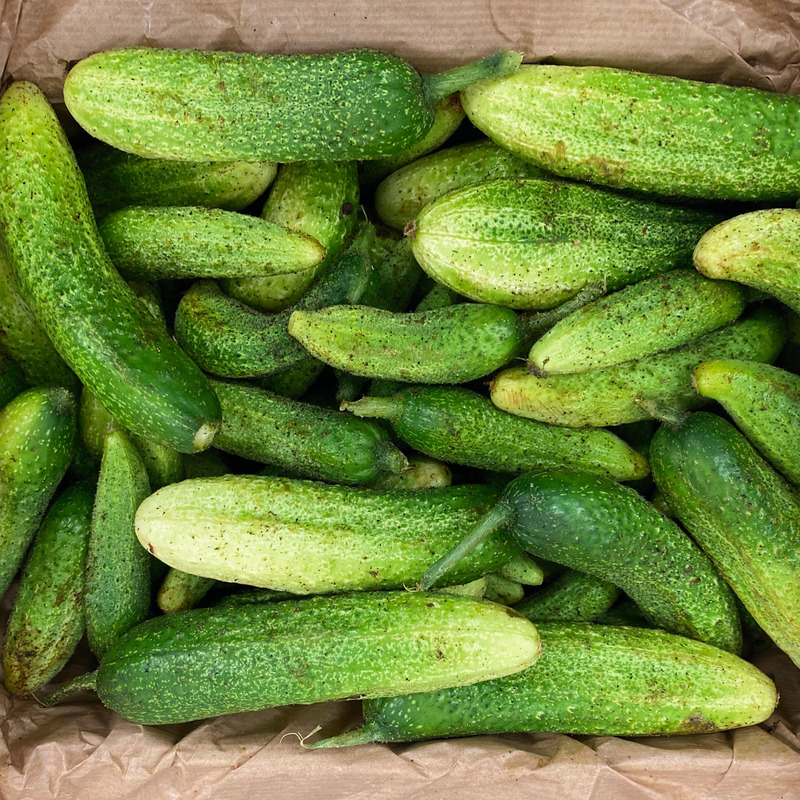 Cornichon ⚖