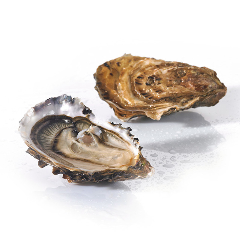 Brittany oyster n°4 15kg