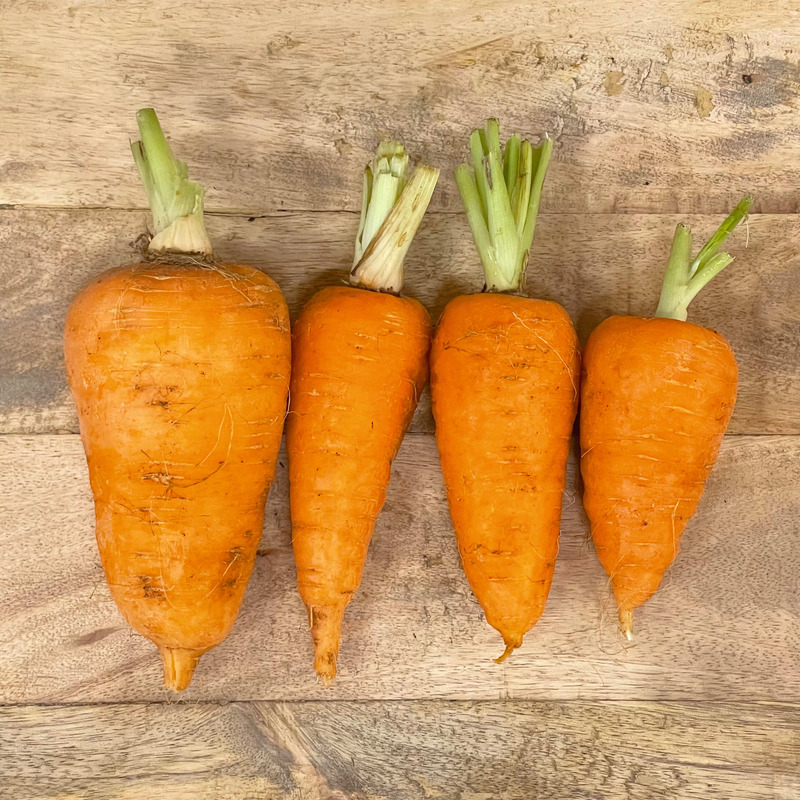 Carotte Chantenay ⚖