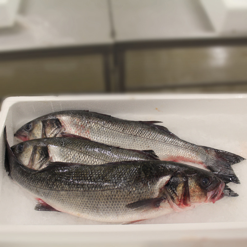 Farmed bass fillet 130/150g ⚖