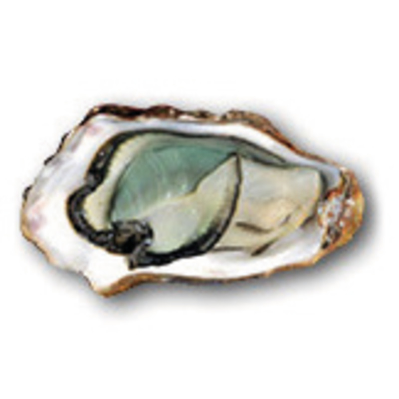 Huîtres Fines Claire Verte IGP Label Rouge (Marennes-Oléron) N°2 x48