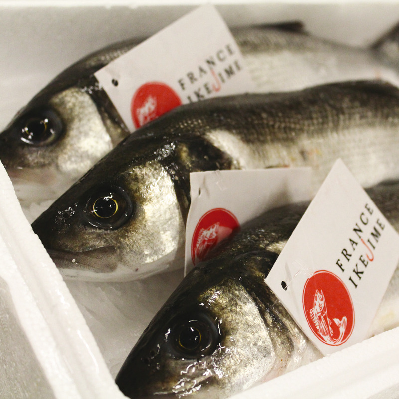 Line-caught sea bass Ikejime method 800g/1.2kg