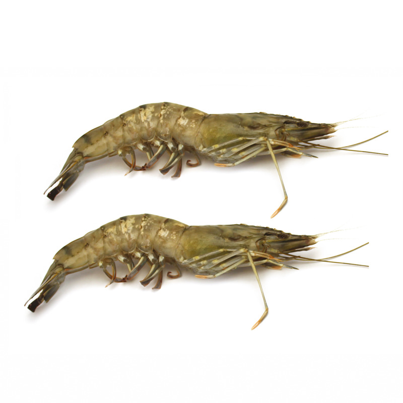 ❆ Raw whole shrimp 8/12 Black Tiger farmed 800g