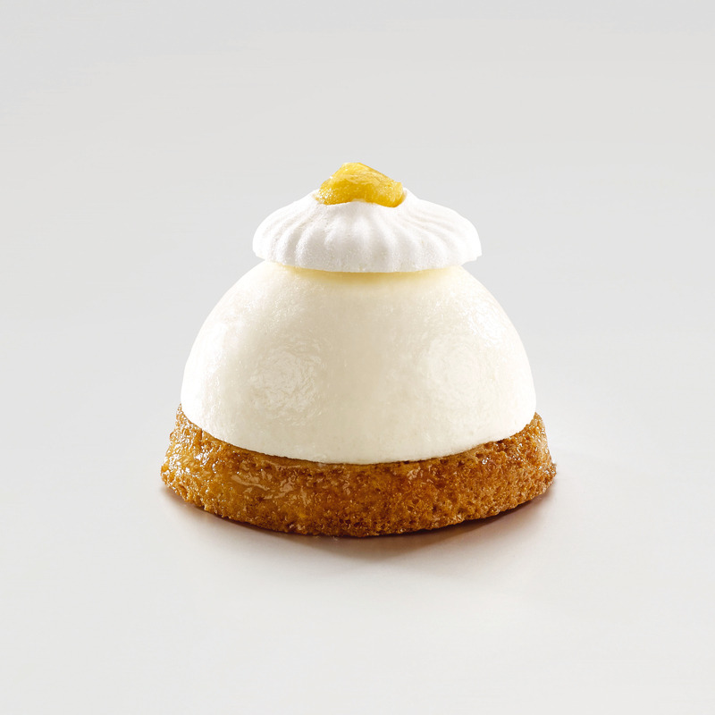 ❆ Dôme citron/agrume 12x90g