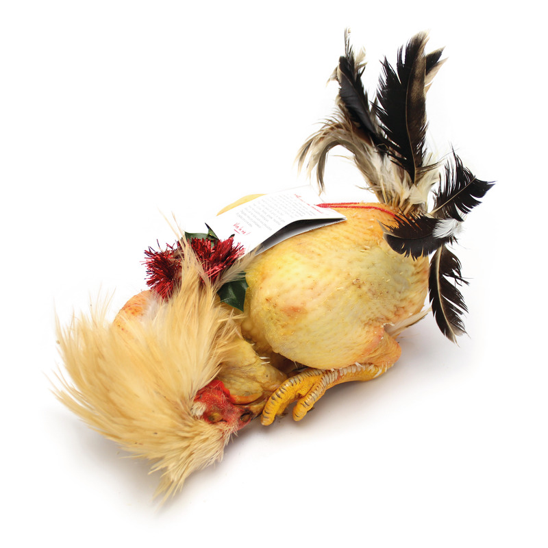 Mini chapon du Gers ±2,8kg