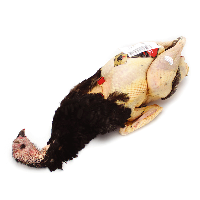 Dinde de Bresse AOP ±4kg