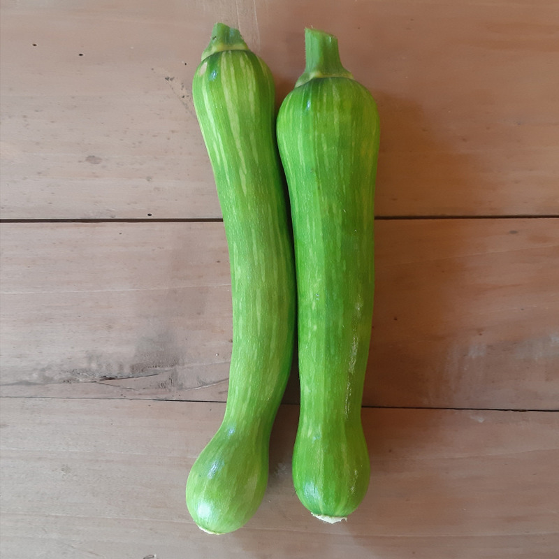 Courgette longue de Nice fine ⚖