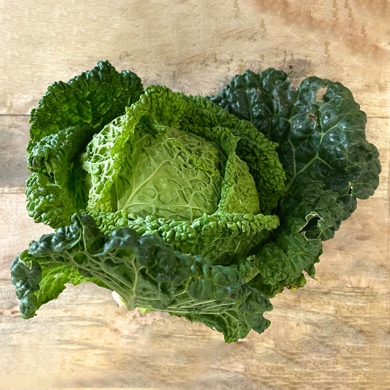 Chou vert frisé de Milan ⚖