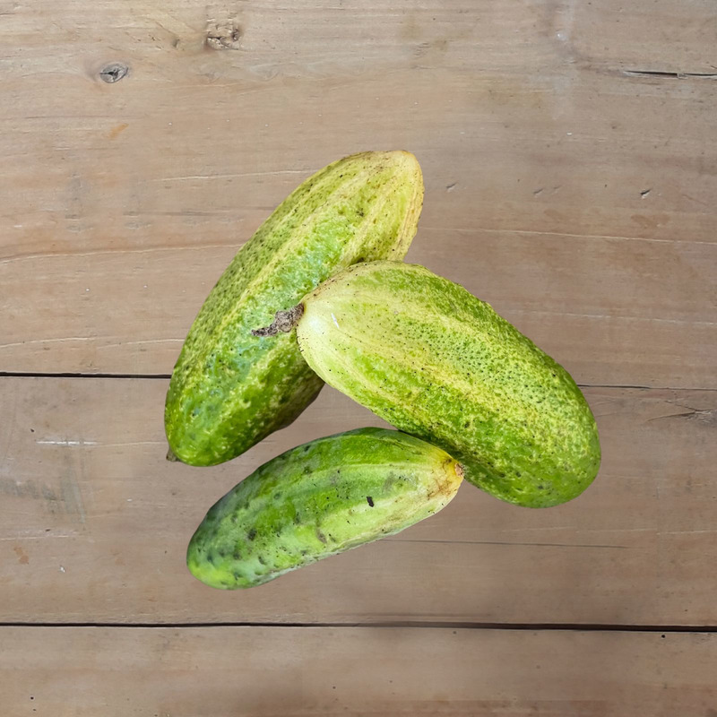 Cornichon ⚖