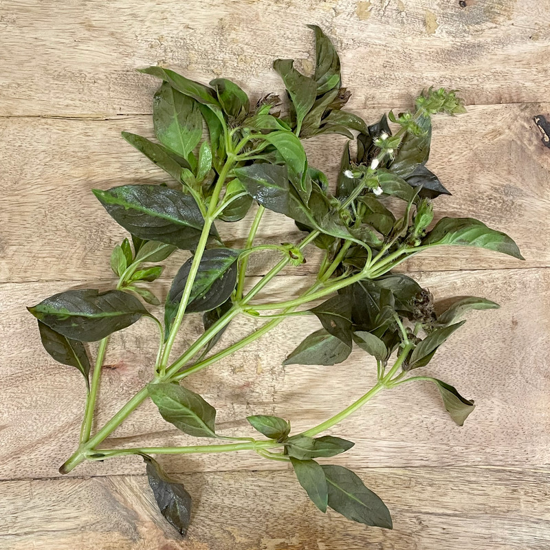 Basilic citron