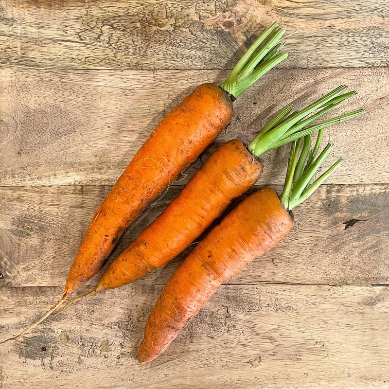 Carotte orange