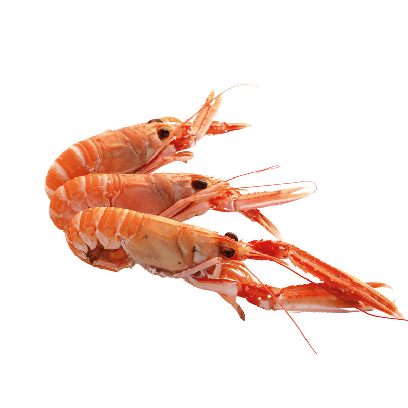 ❆ Raw langoustine Scotland origin size 6/8 polystyrene case 1.5kg BBF 06/2026