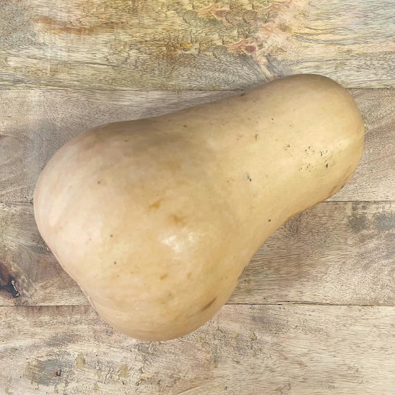 Butternut squash