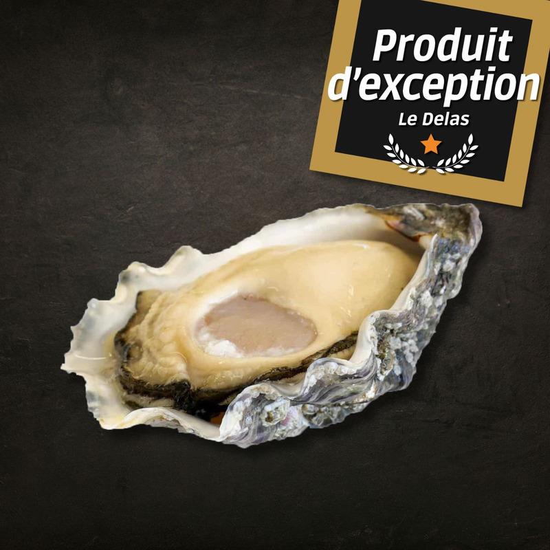 L'Étoile super special oyster (Brittany) N°3 x24