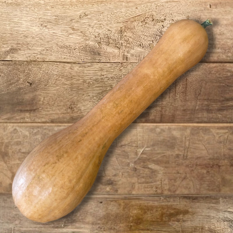 Nice long squash ⚖