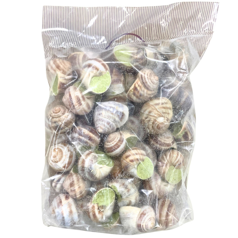 ❆ Extra large snail XXL x48