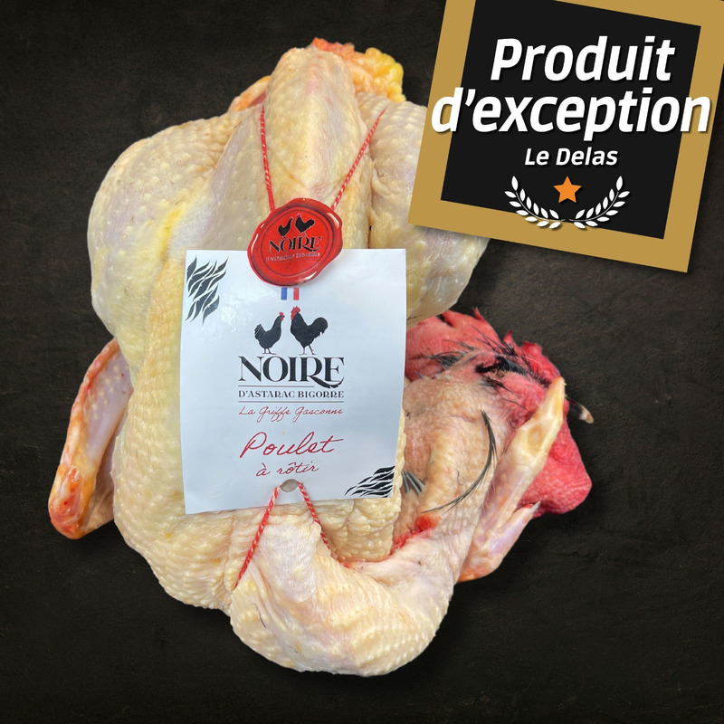 Poulet Noire d'Astarac Bigorre 150 jours ±1,8kg