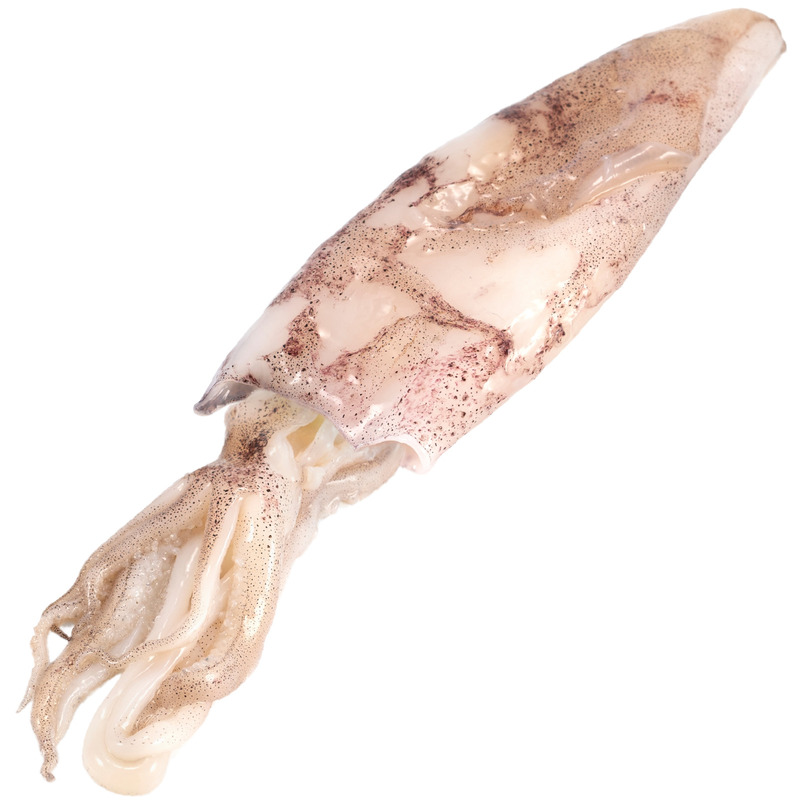 ❆ Calamar entier 100-200g emballage individuel congelé à bord 5kg
