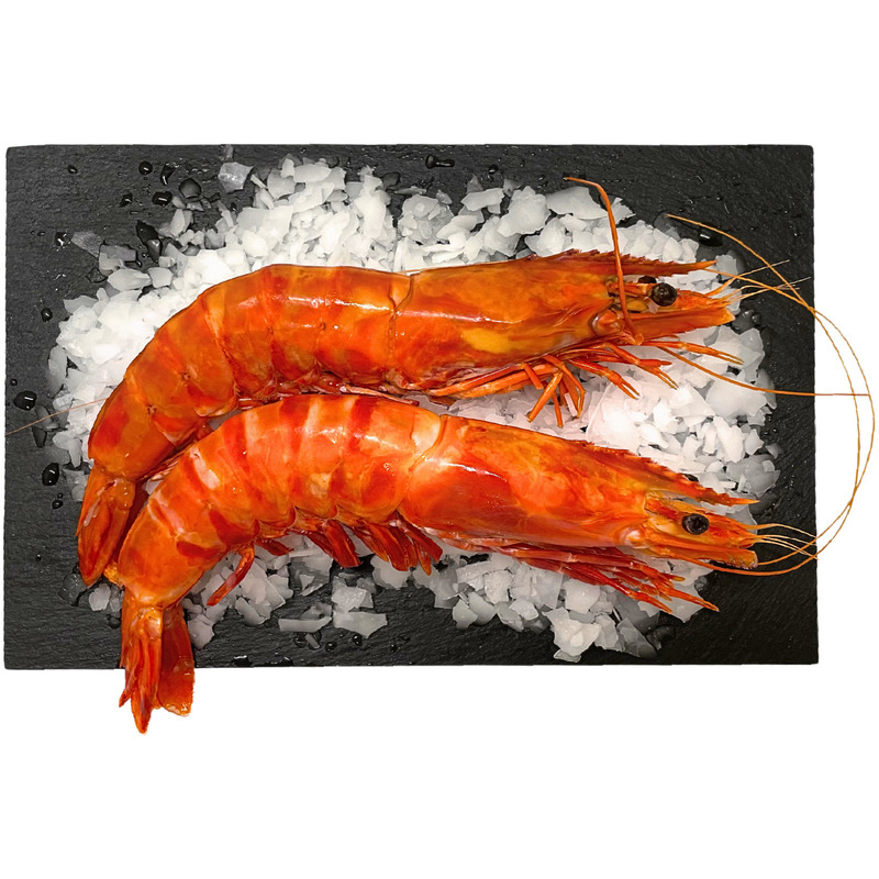 Crevette cuite U10 2kg