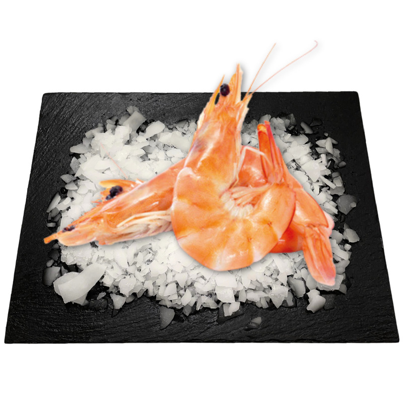 Cooked shrimp from Ecuador, size 30/40 500g
