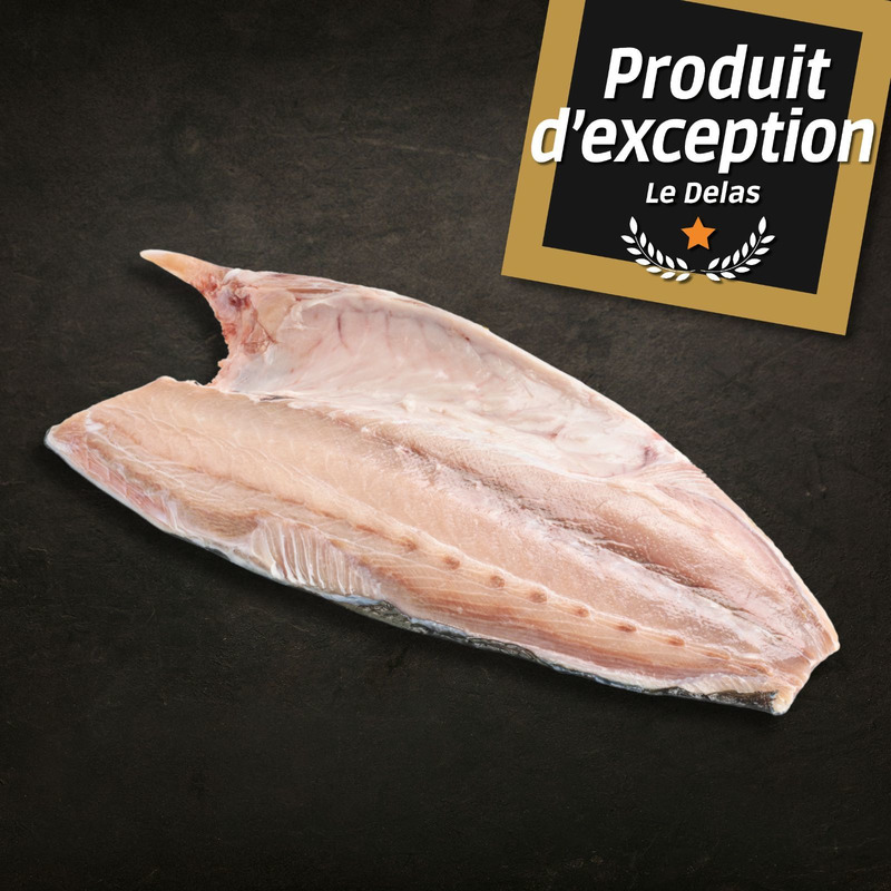 ❆ Hamachi ikejime fillet sahimi quality | Japanese Yellowtail Amberjack 1,5kg