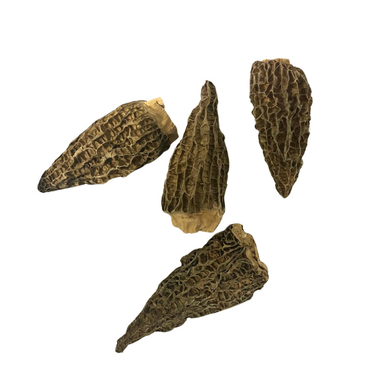 Morille spéciale séchée Jumbo 8+ tubo 250g