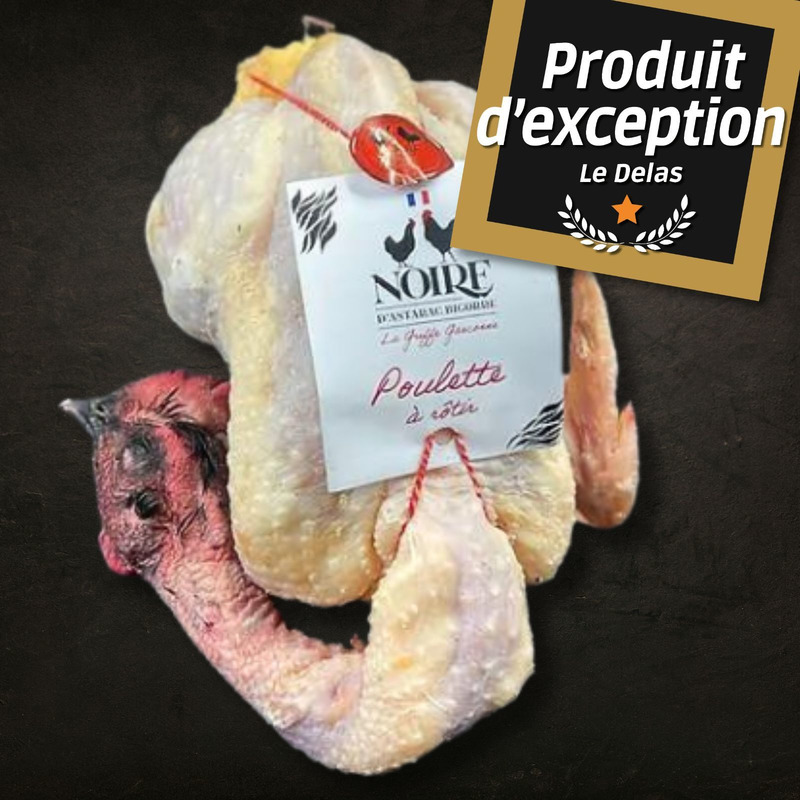 Noire d'Astarac Bigorre chicken 150 days pulled ±1.8kg