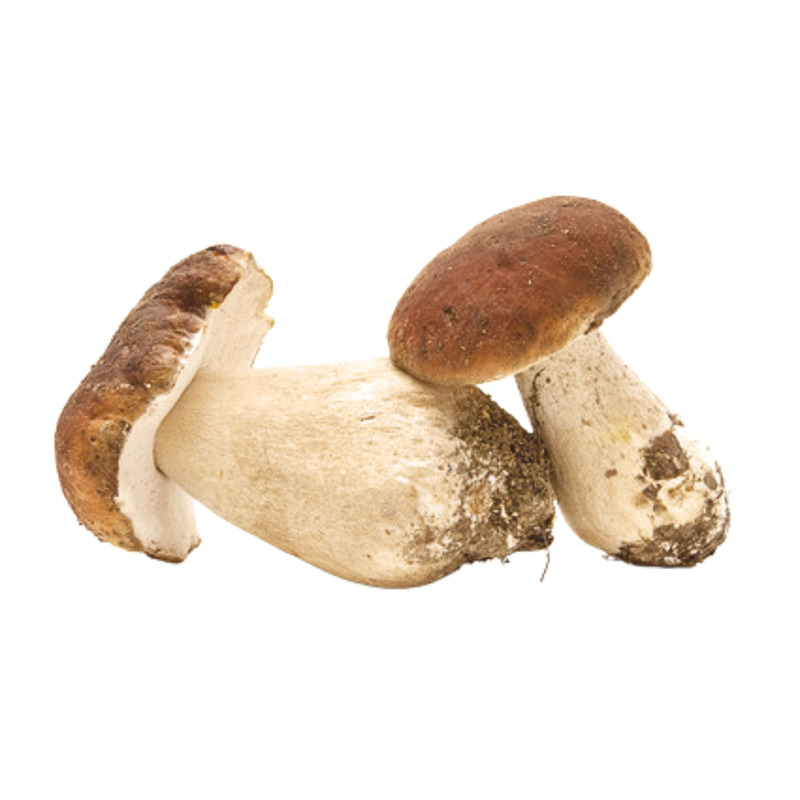 ❆ Cèpe entier 3-5 1kg