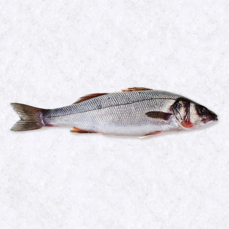 Farmed bass EU origin 2-3kg
