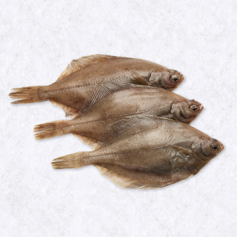 Lemon sole ±500g ⚖