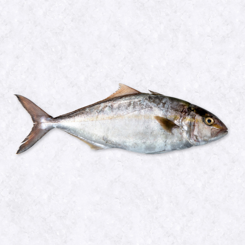 Sériole ±2kg ⚖