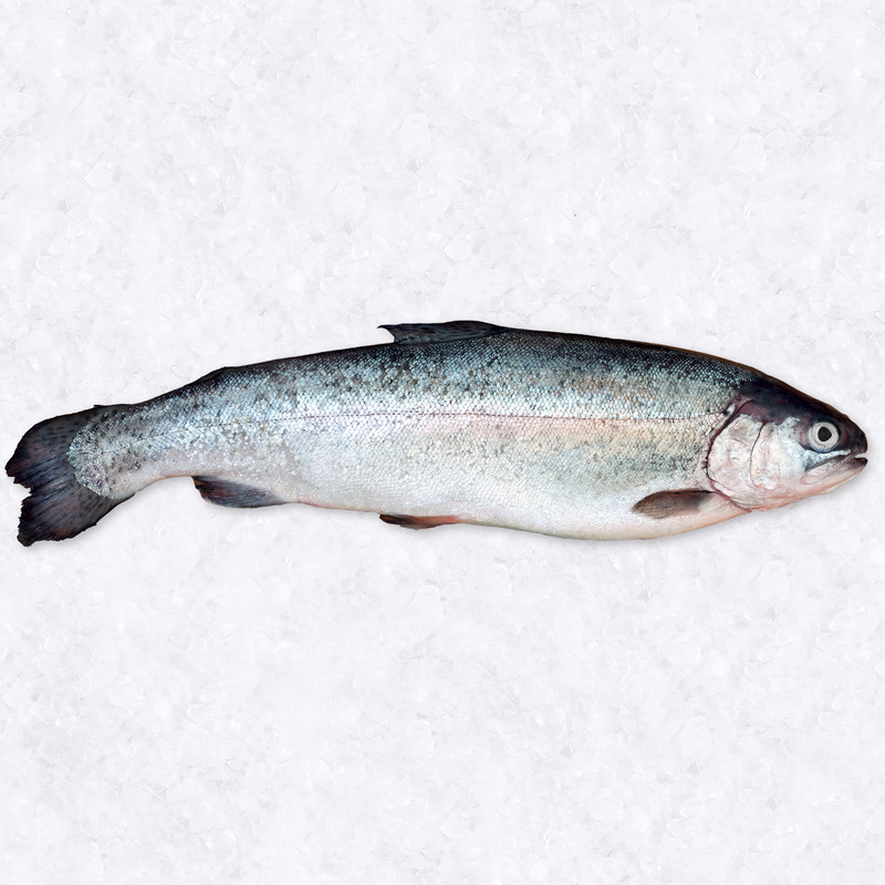 Ready-to-cook rainbow trout farmed in France 1-2kg ⚖