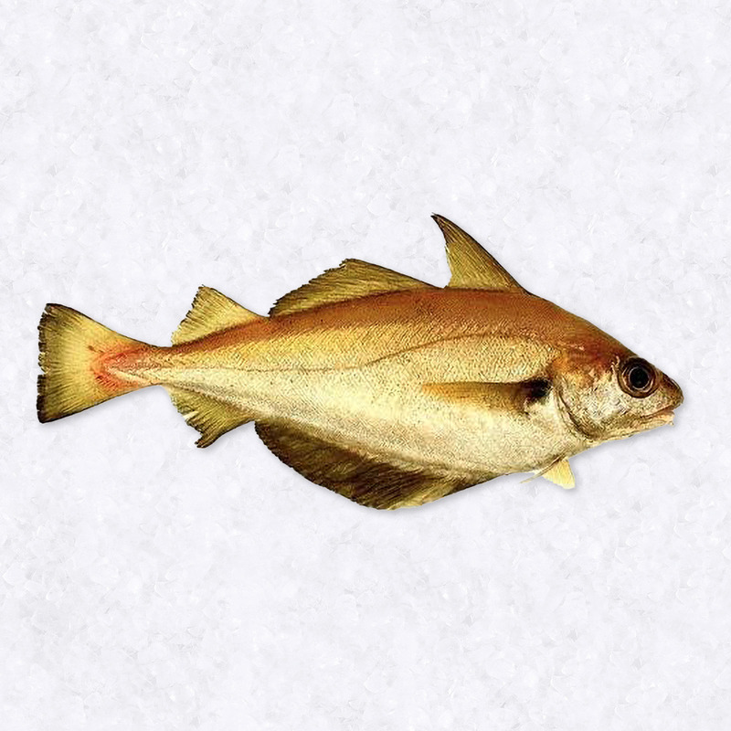 Fillet of whiting ⚖