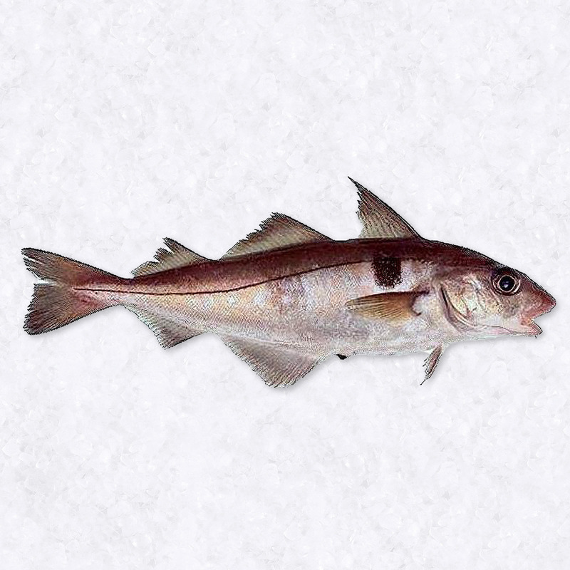 Dos d'églefin ±300g