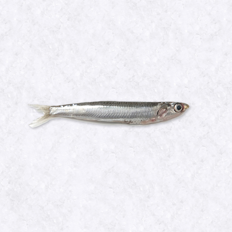 Anchovies ⚖