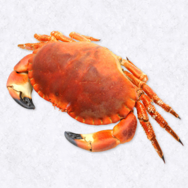 Medium crabs ⚖