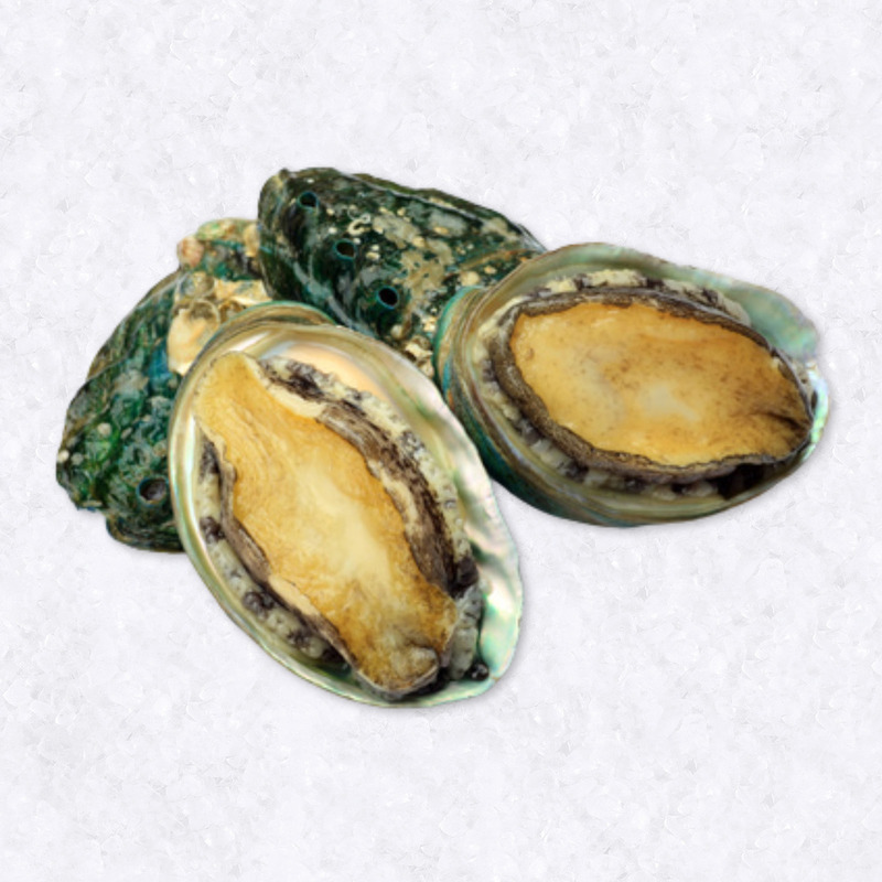 Abalone ±1kg