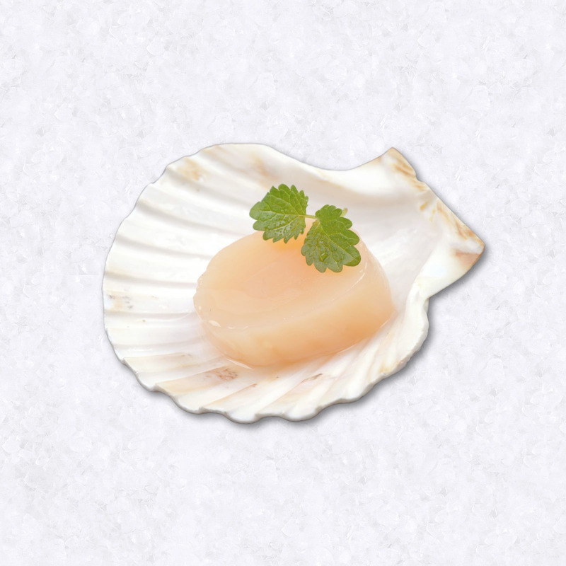 Scallops French origin pot 1kg