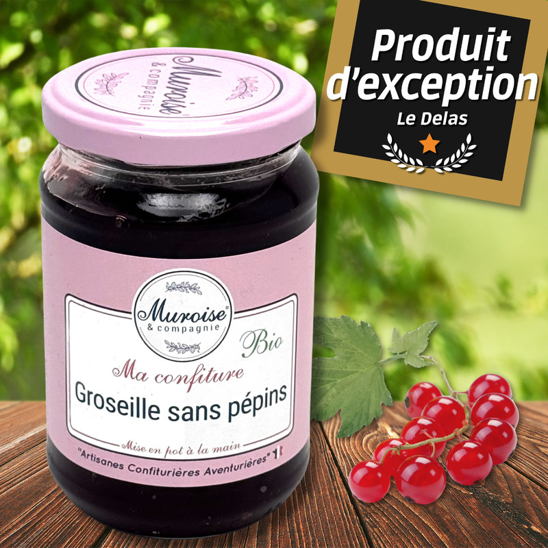 Confiture artisanale de groseille sans pépins BIO pot 350g