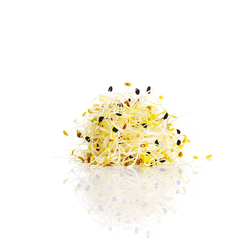 Germinated leek seeds 85g