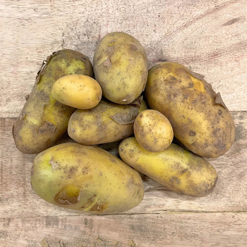 Pomme de terre nouvelle Charlotte ⚖