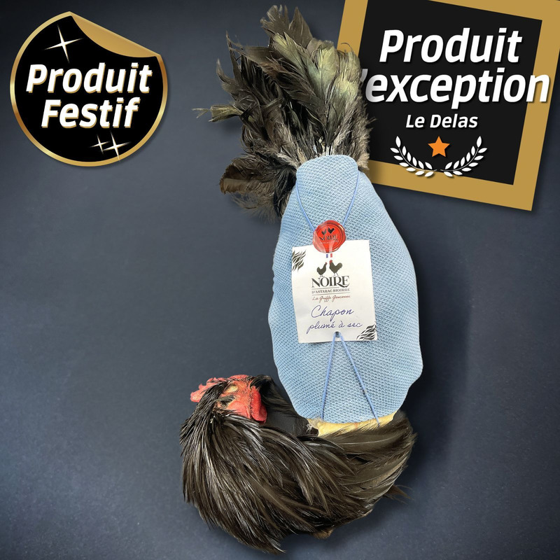 Chapon Noire d'Astarac Bigorre plumé à sec et effilé ±3kg
