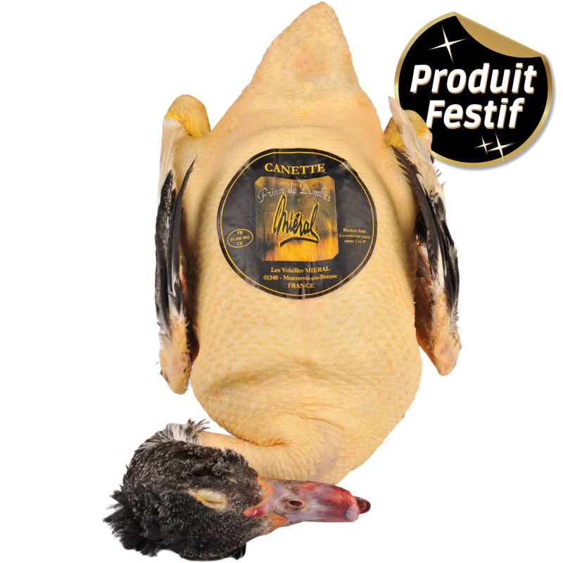 Prince de Dombes Barbary duckling ±2.2kg