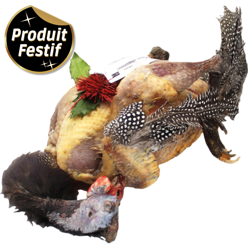 Pintadou du Gers (pintade chaponnée) ±2,8kg