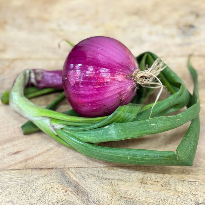 Sweet onion Morada de Amposta ⚖