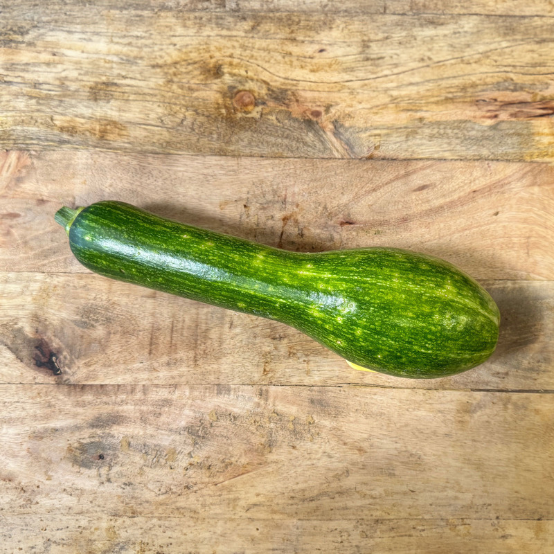 Courgette Longue de Nice moyenne ⚖